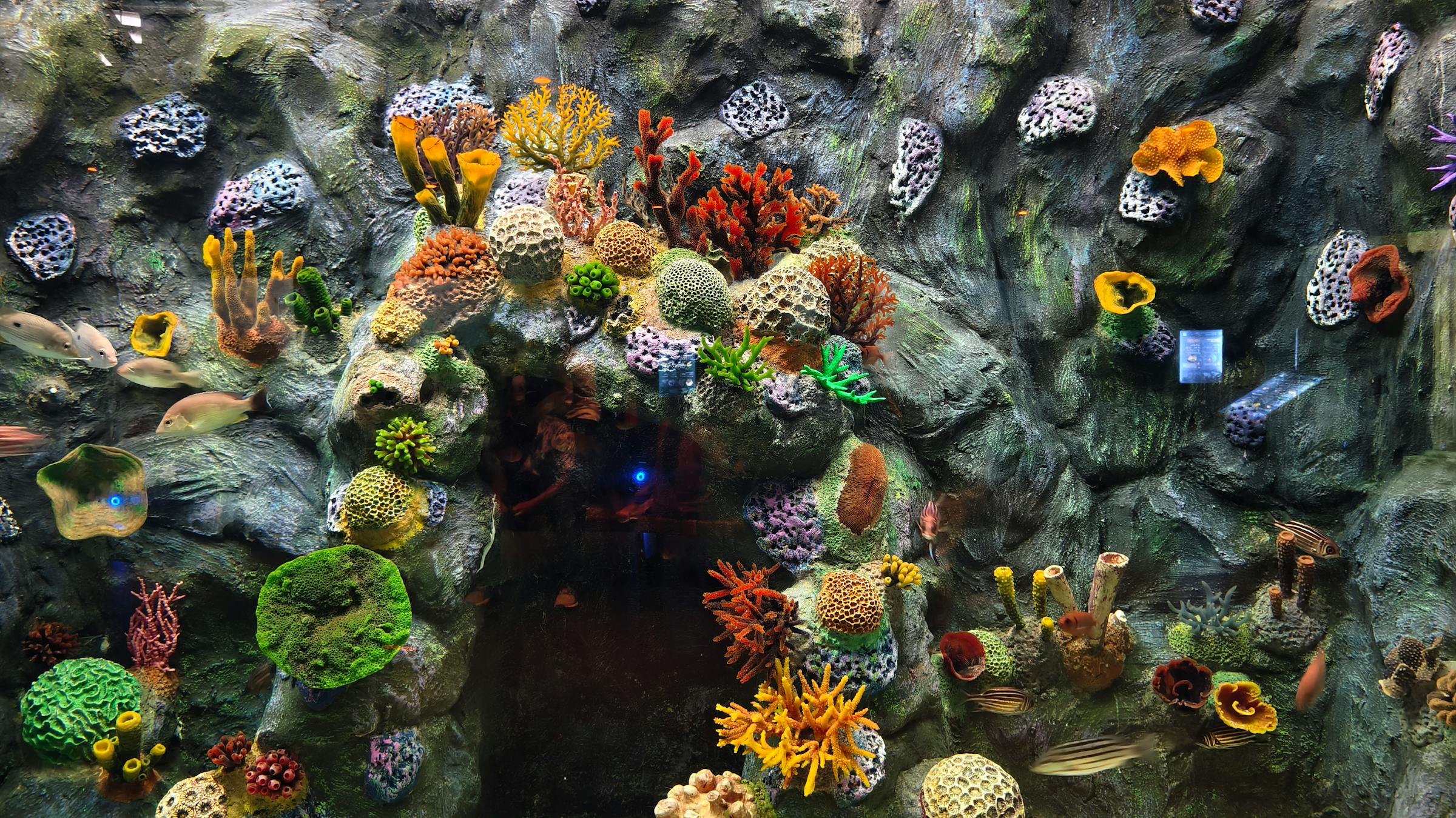 Reef aquarium